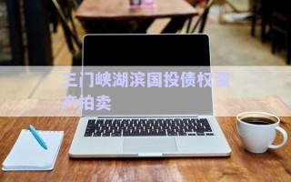 三門(mén)峽湖濱國(guó)投債權(quán)資產(chǎn)拍賣