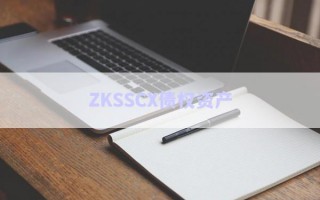 ZKSSCX債權資產(chǎn)