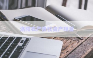 洛陽農(nóng)產(chǎn)債權(quán)資產(chǎn)項(xiàng)目