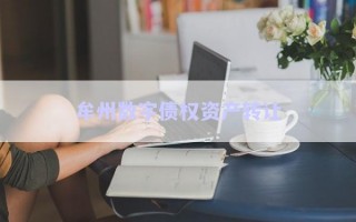 牟州數(shù)字債權資產轉讓