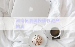 河南杞縣國投債權(quán)資產(chǎn)拍賣 河南杞縣國投債權(quán)資產(chǎn)拍賣