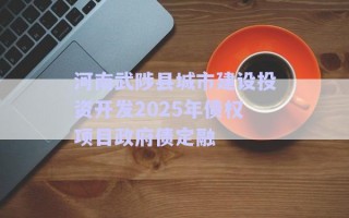 河南武陟縣城市建設投資開發(fā)2025年債權項目政府債定融