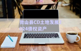 微山縣CD土地發(fā)展2024債權資產(chǎn)