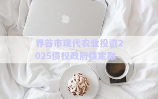 界首市現(xiàn)代農業(yè)投資2025債權政府債定融