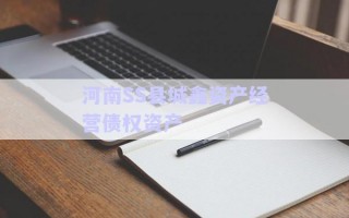 河南SS縣城鑫資產(chǎn)經(jīng)營債權(quán)資產(chǎn)