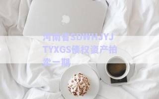 河南省SDWHJYJTYXGS債權(quán)資產(chǎn)拍賣一期 河南省SDWHJYJTYXGS債權(quán)資產(chǎn)拍賣一期
