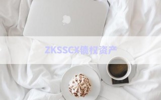 ZKSSCX債權資產(chǎn) ZKSSCX債權資產(chǎn)