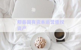 郟縣國有資本運營債權資產(chǎn)