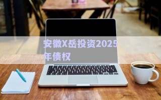 安徽X岳投資2025年債權