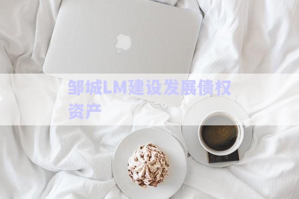 鄒城LM建設發(fā)展債權資產-第1張圖片-政信固收網