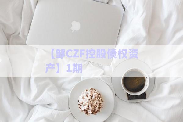 【鄒CZF控股債權資產】1期-第1張圖片-政信固收網(wǎng)