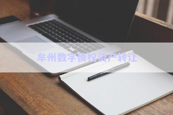 牟州數(shù)字債權資產(chǎn)轉(zhuǎn)讓-第1張圖片-政信固收網(wǎng)