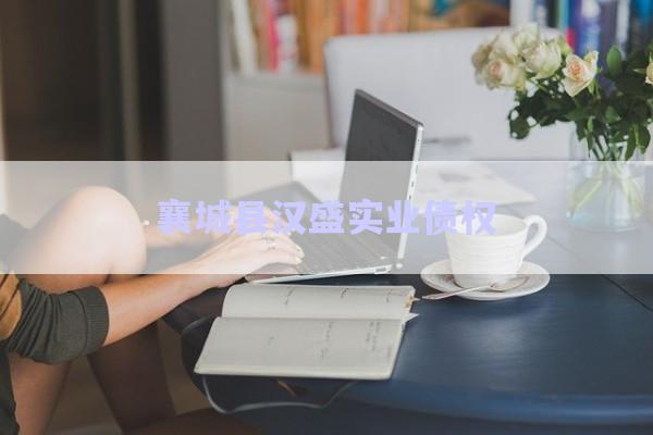 襄城縣漢盛實業(yè)債權(quán)-第1張圖片-政信固收網(wǎng)